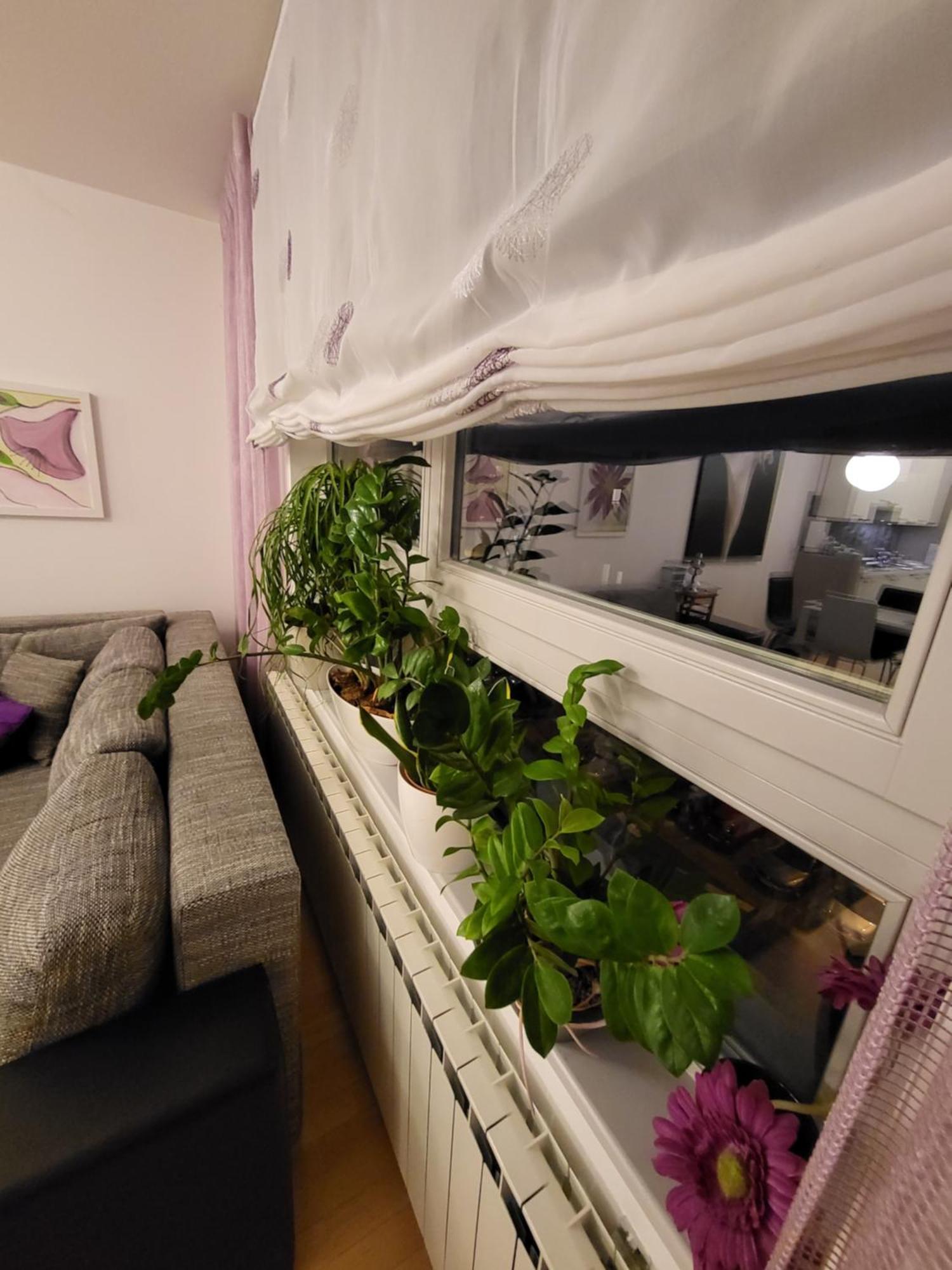 Apartman Jarun Lake Lux Zagreb Exterior foto