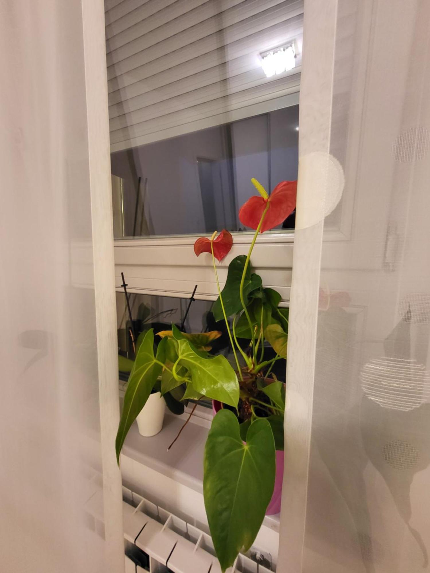Apartman Jarun Lake Lux Zagreb Exterior foto
