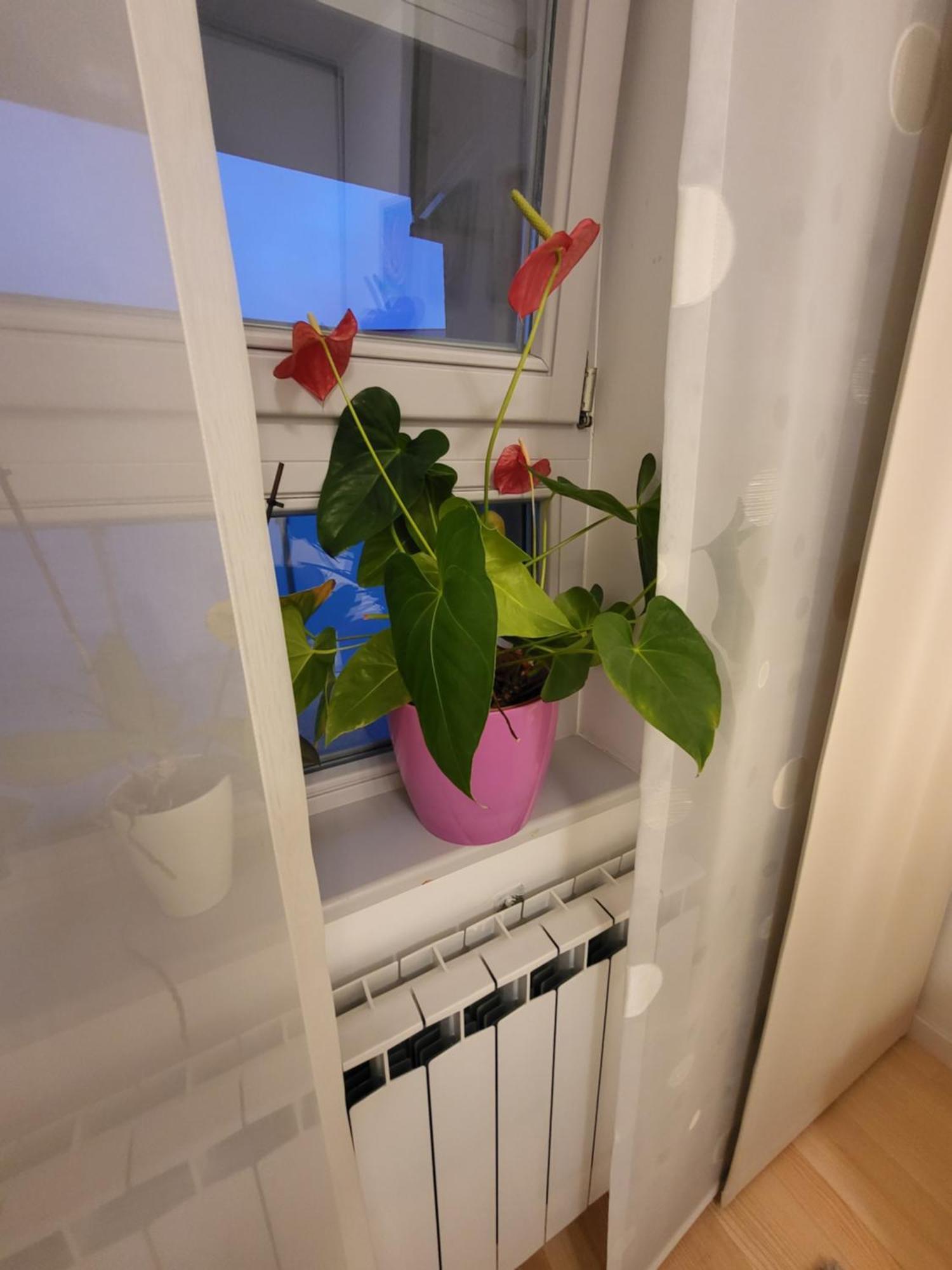 Apartman Jarun Lake Lux Zagreb Exterior foto